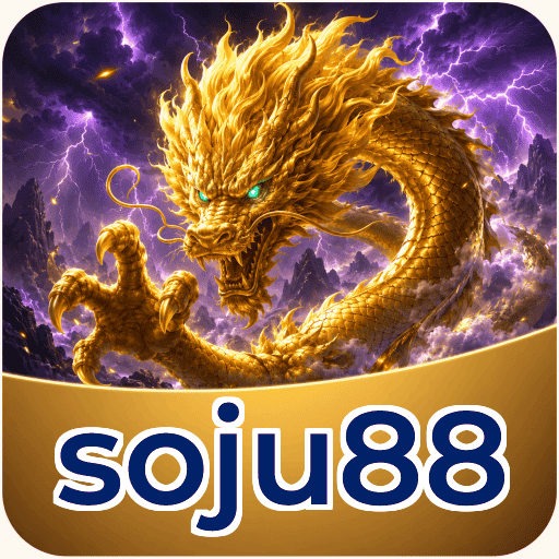 Audit profile soju88